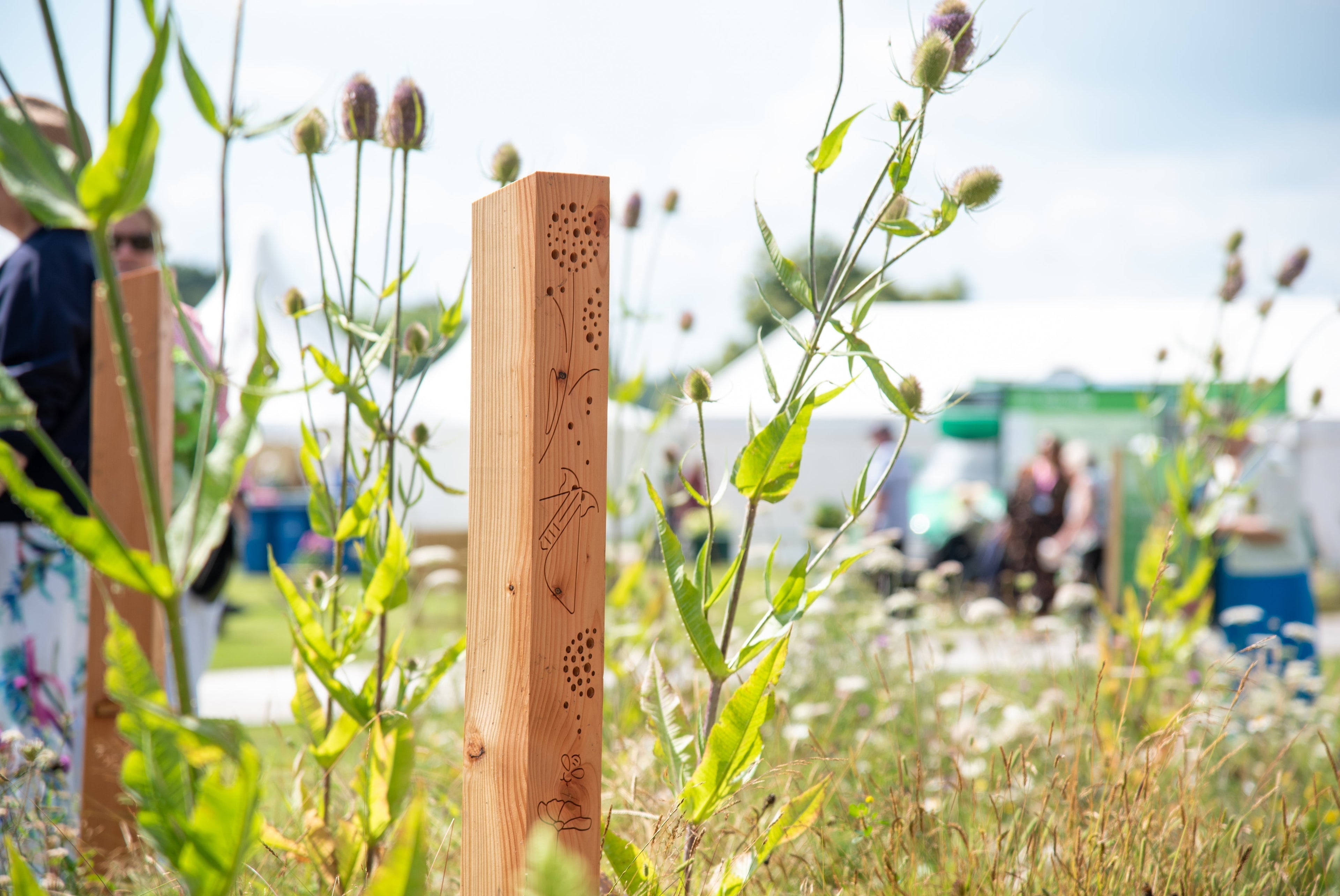 Niche Debuts at the RHS Chelsea Flower Show: Bringing Commercial-Grade Biodiversity to Your Garden