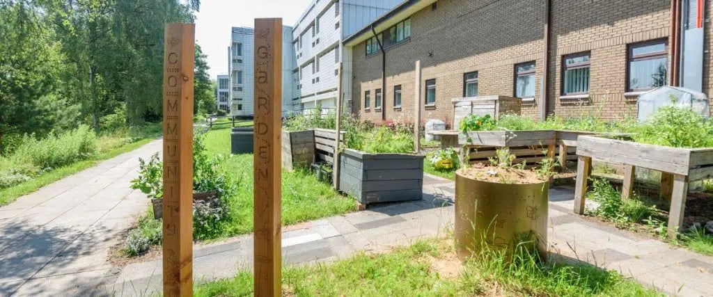 Bee Posts Boost Biodiversity at University of Salford