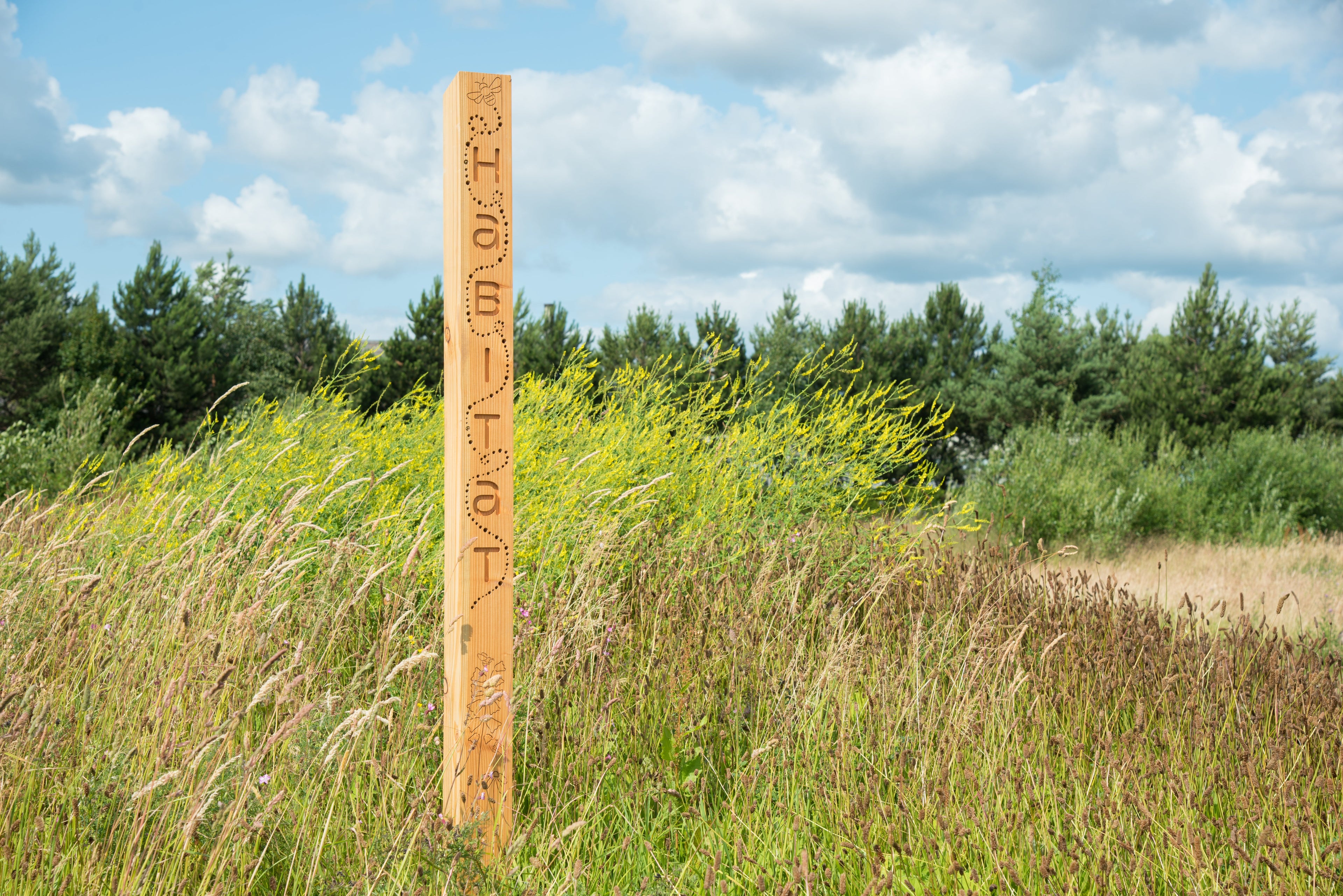 Bee Posts