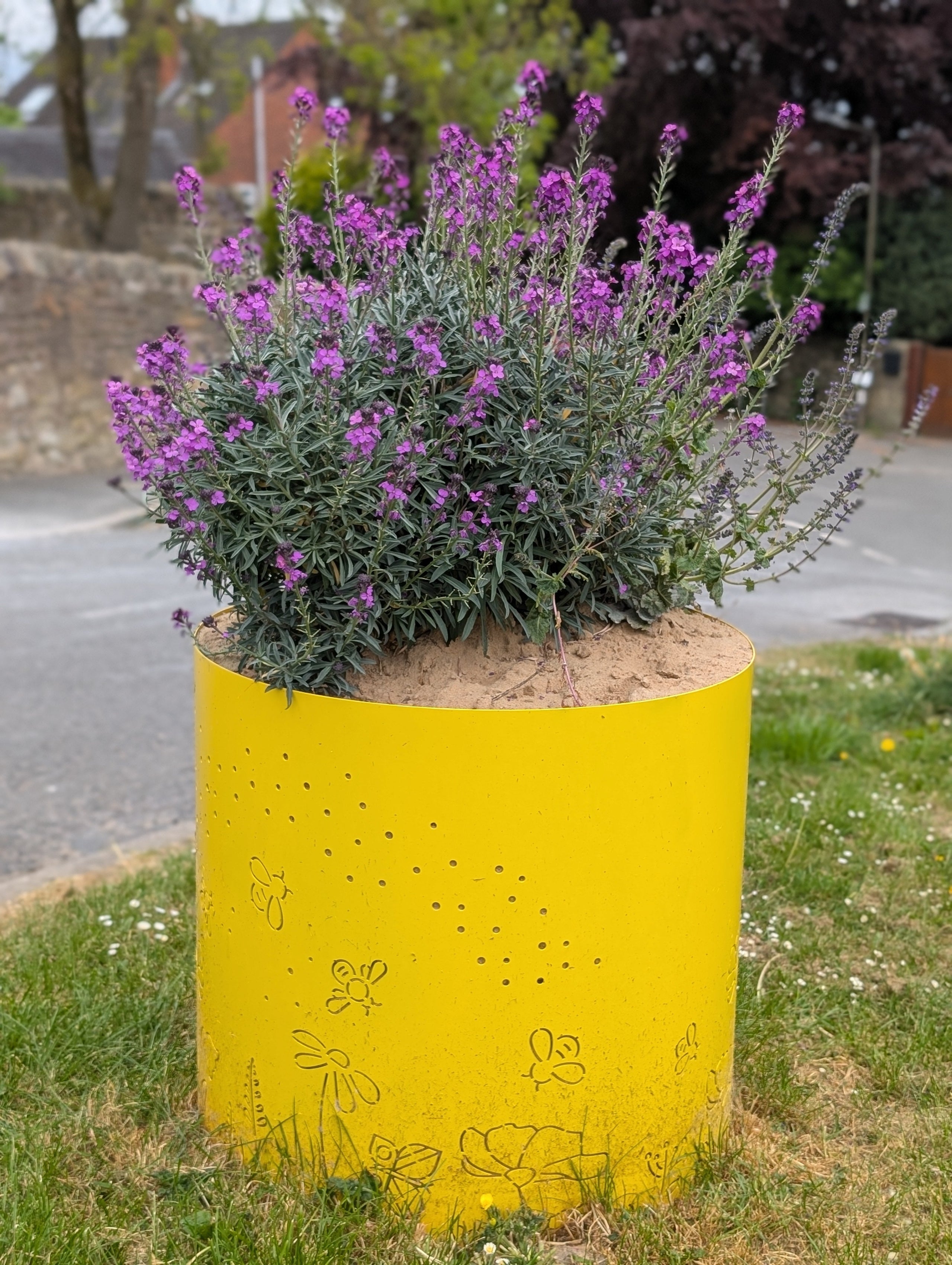 Sand Planters