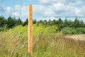Large Bee Post
