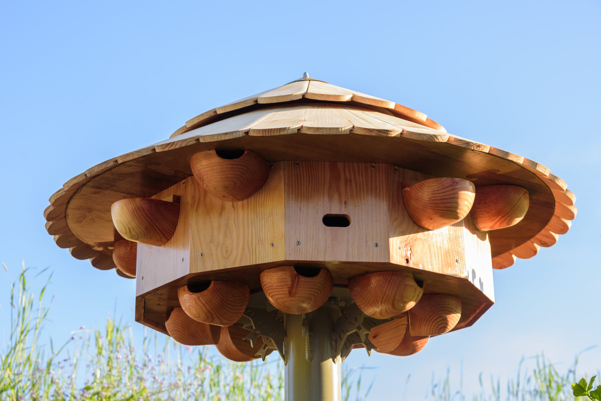 Swift Tower (also House Martin, Swallow and Bats)