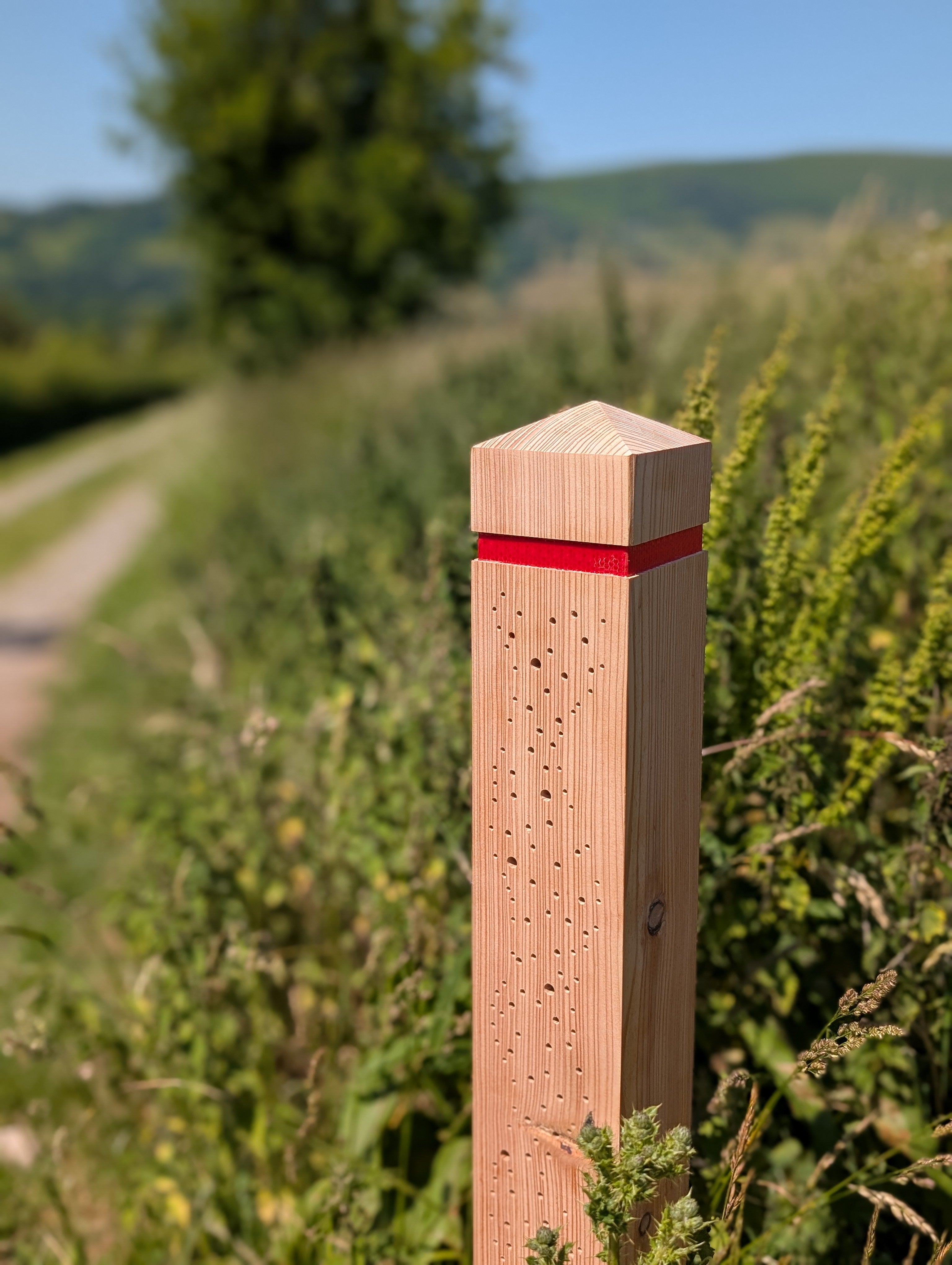 Bee Bollard