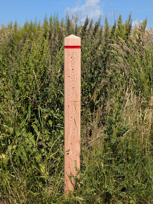 Bee Bollard