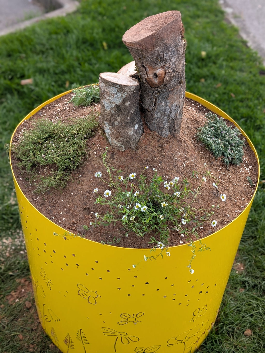 Sand Planter
