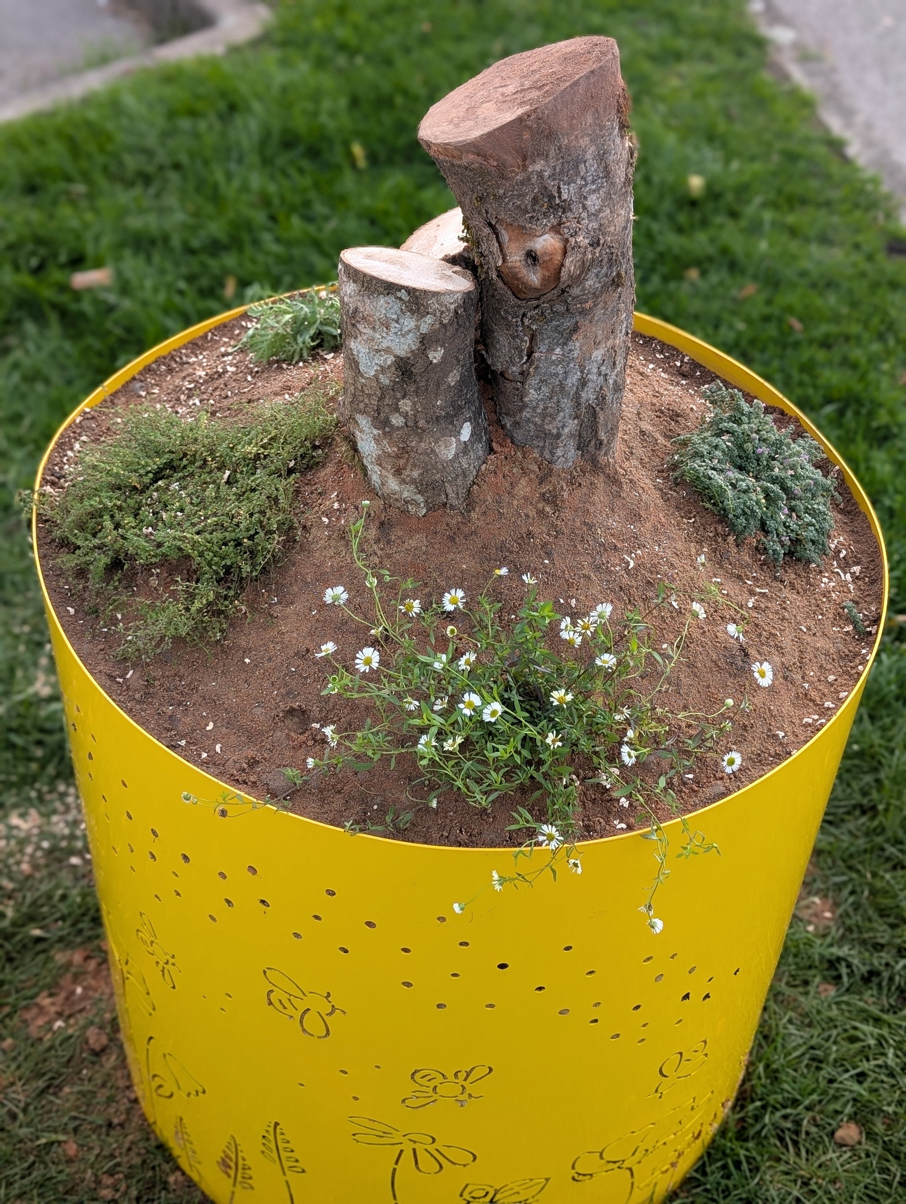 Sand Planter