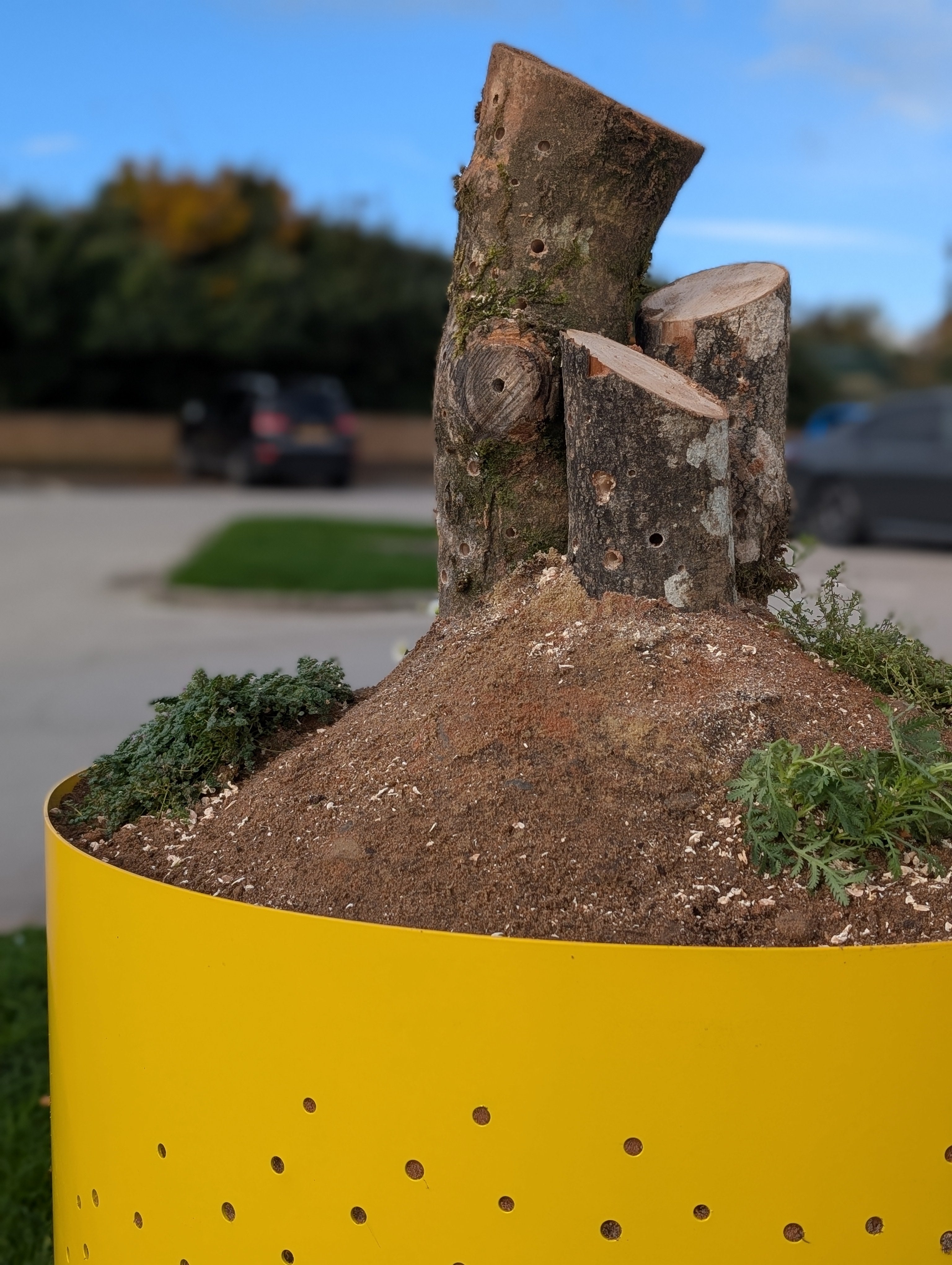Sand Planter