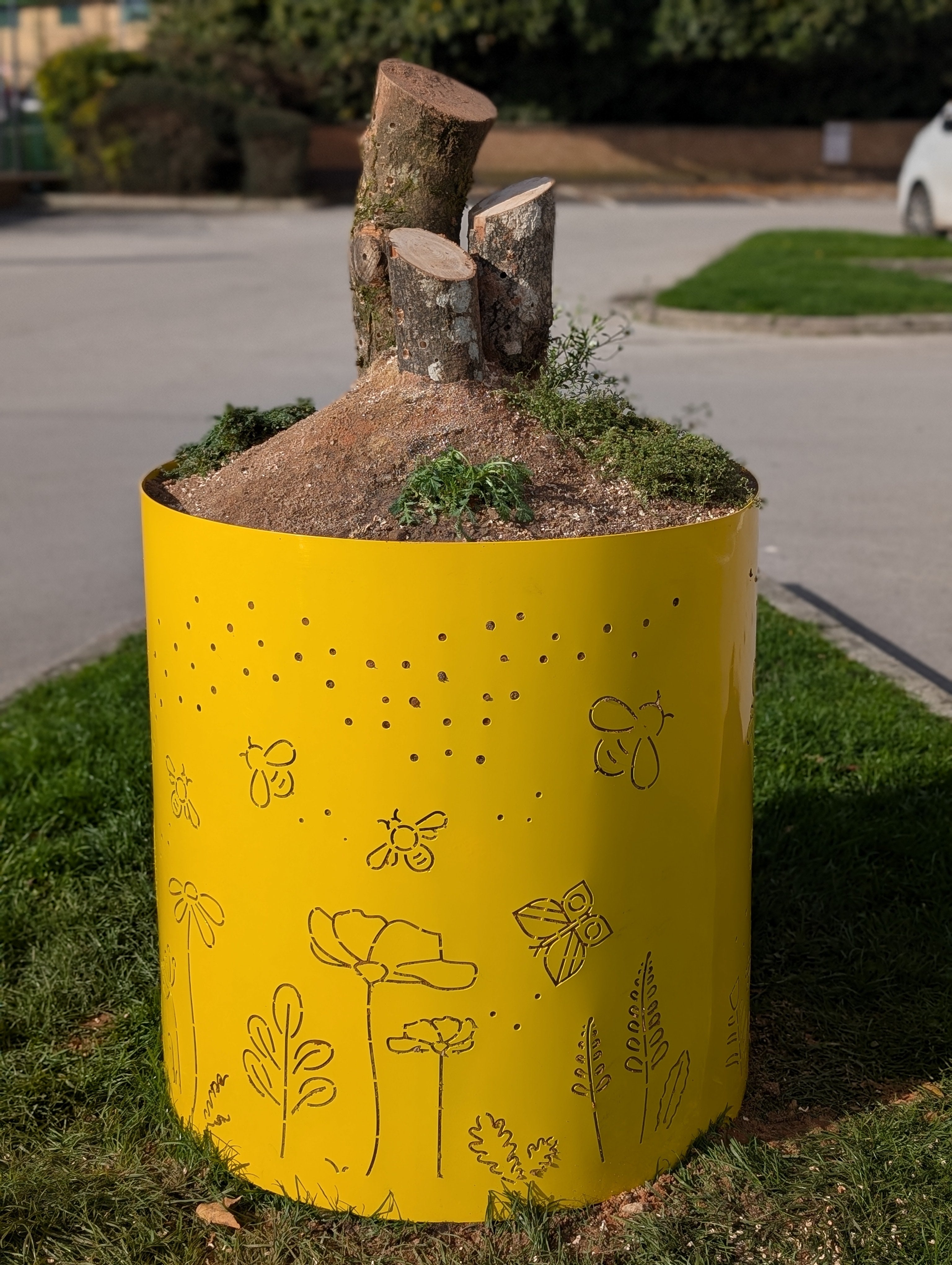 Sand Planter