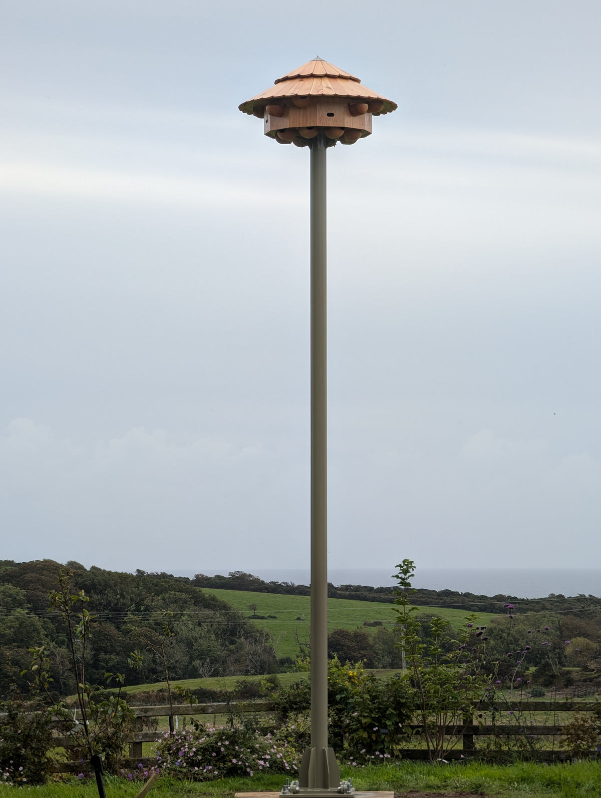 Swift Tower (also House Martin, Swallow and Bats)