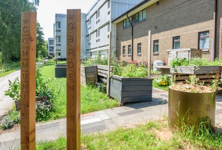 The hero image for the Niche post, Bee Posts Boost Biodiversity at University of Salford